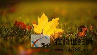 image_edit_7.png