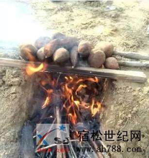 微信图片_20201101170600.jpg