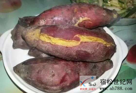 微信图片_20201101170552.jpg