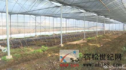 092315fc8ztxuc28j08h0q.jpg