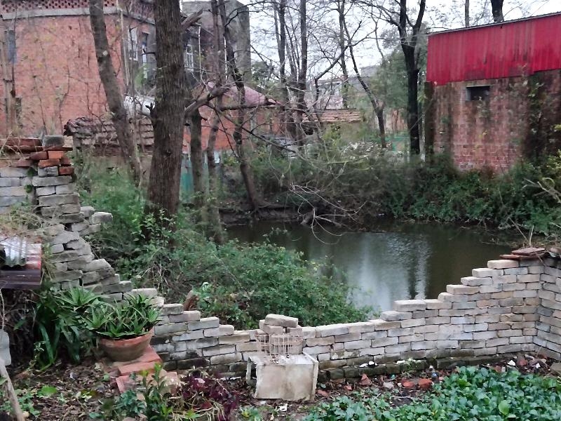 IMG_20201214_070610.jpeg