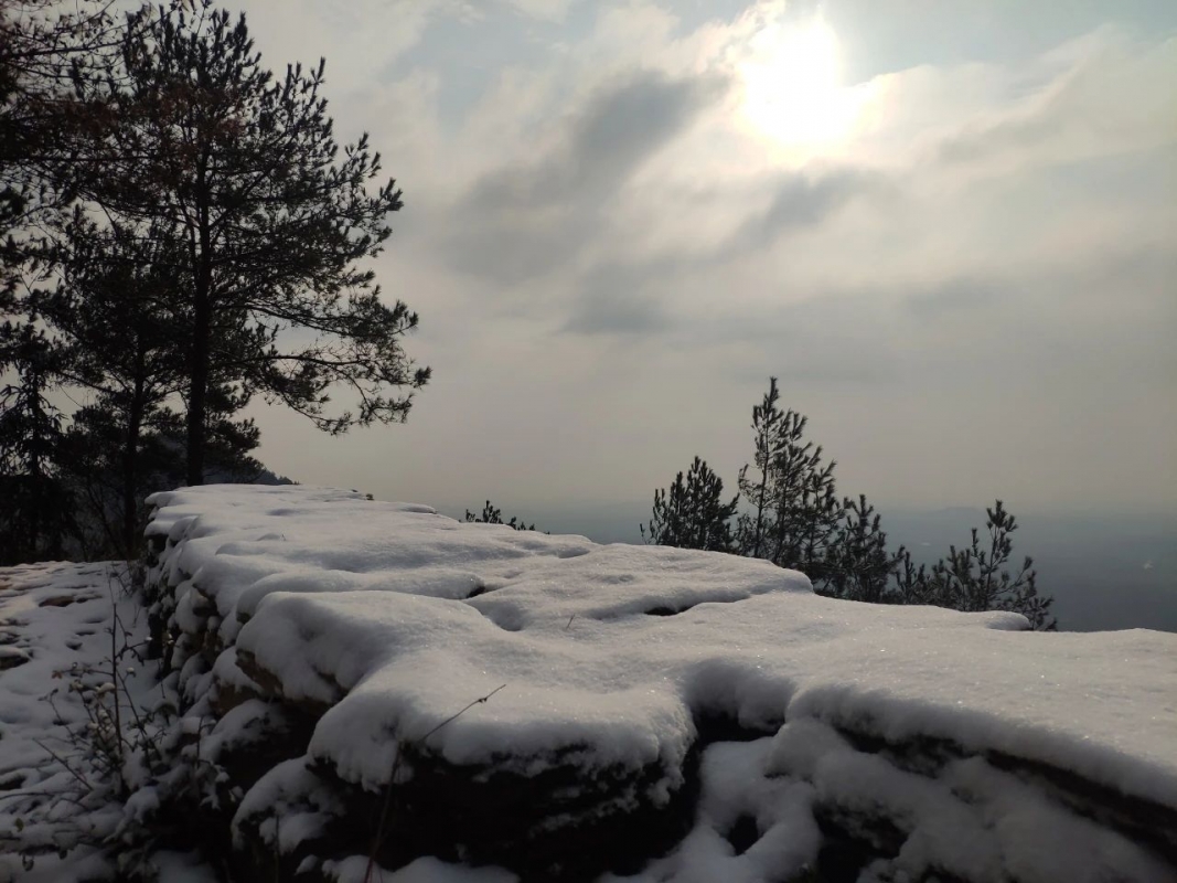 微信图片_20201215143122.jpg
