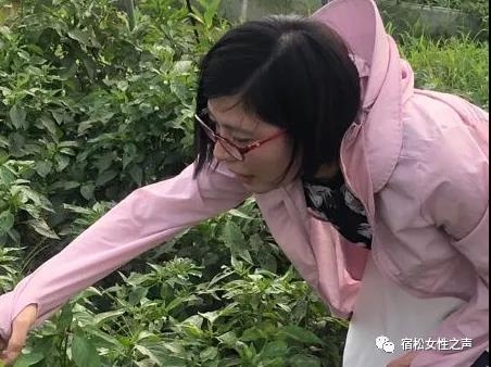 微信图片_20201218090418.jpg