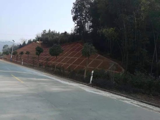 微信图片_20201229084608.jpg