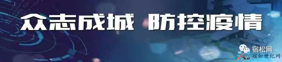 宿松网疫情防控.webp.jpg