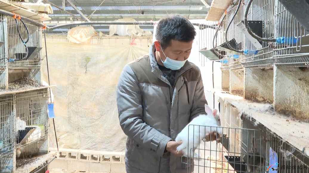 微信图片_20210222085409.jpg