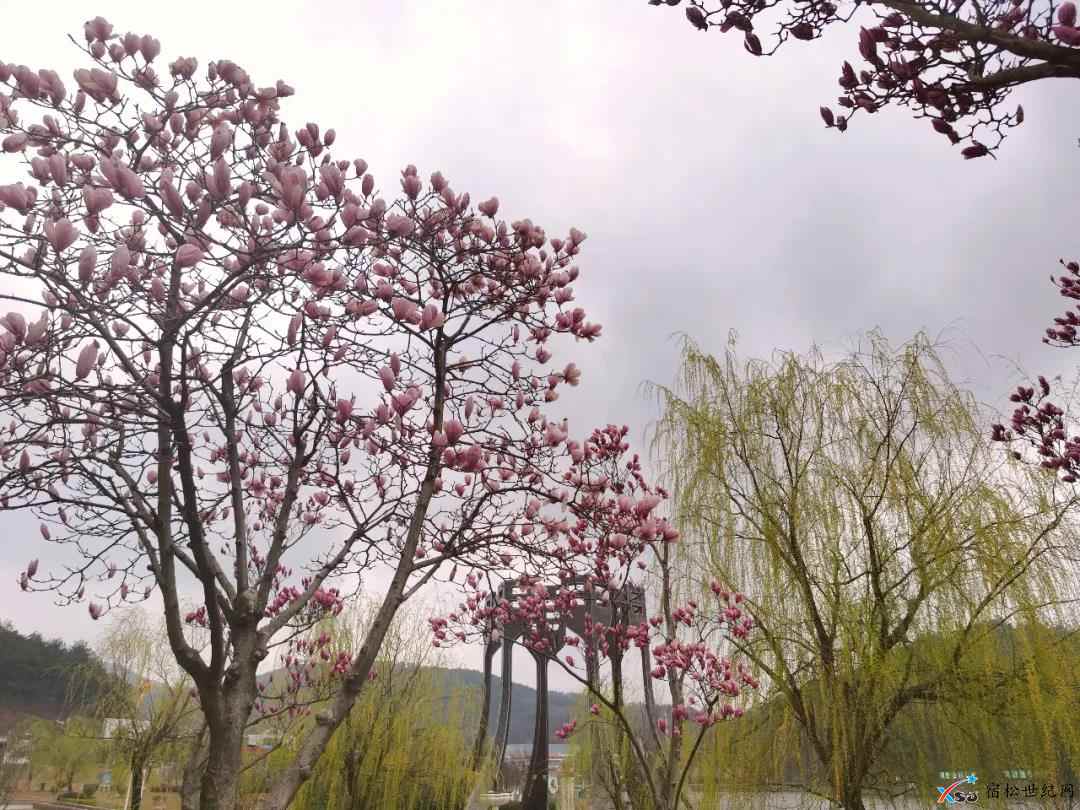 微信图片_20210304093212.jpg