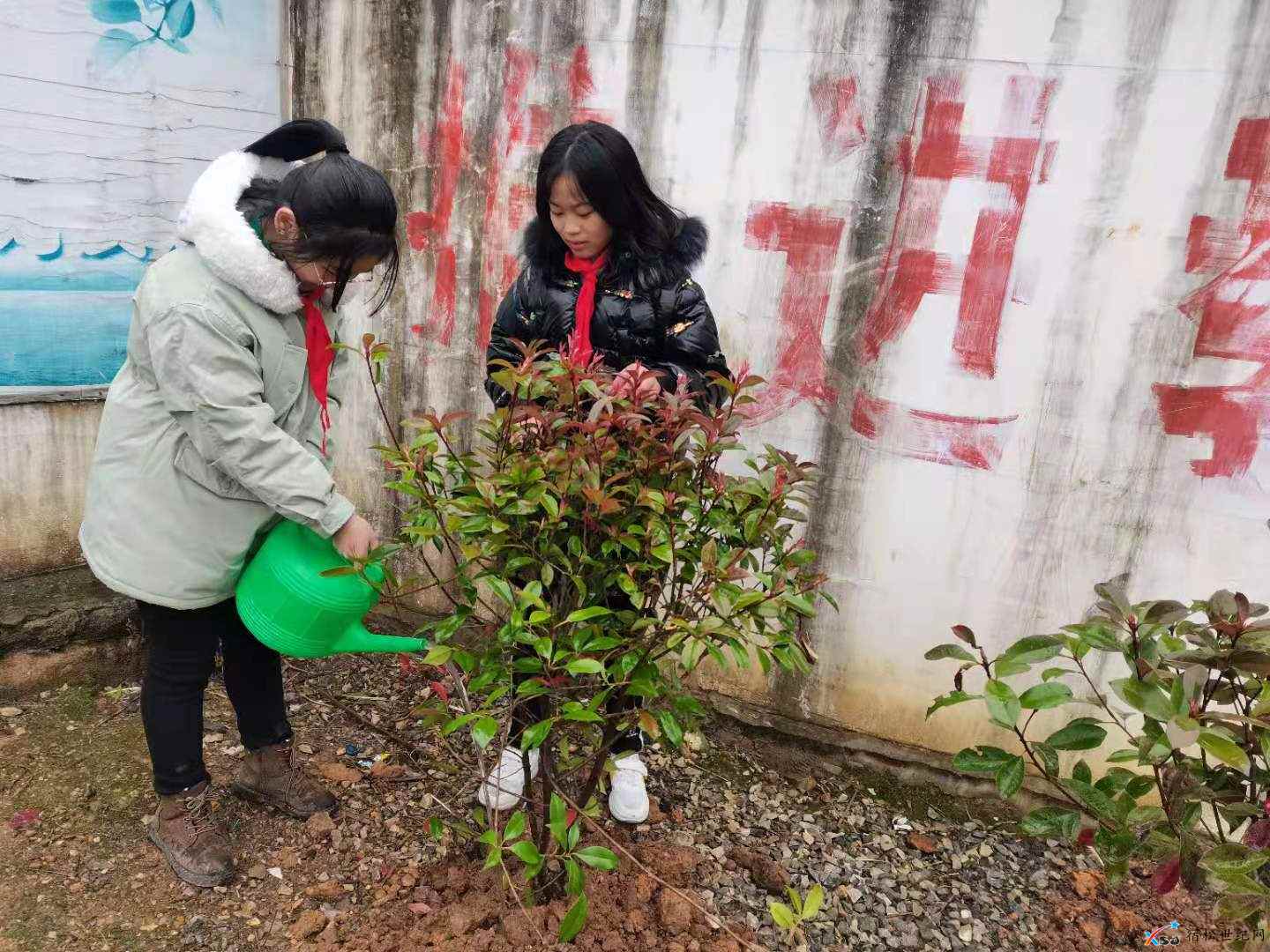 微信图片_20210308154036.jpg