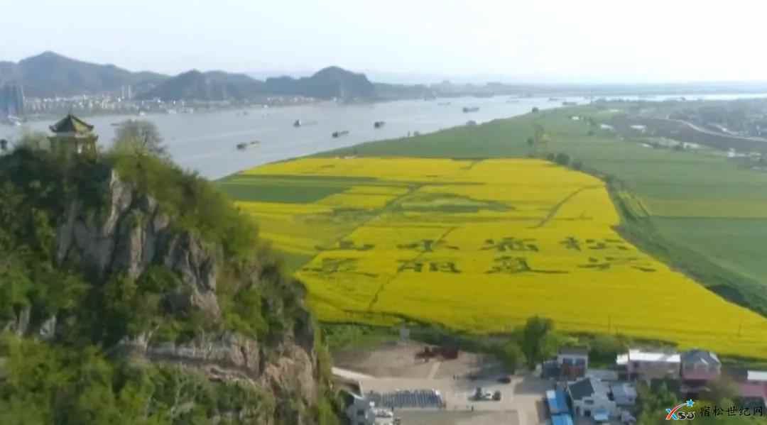 微信图片_20210325075235.jpg