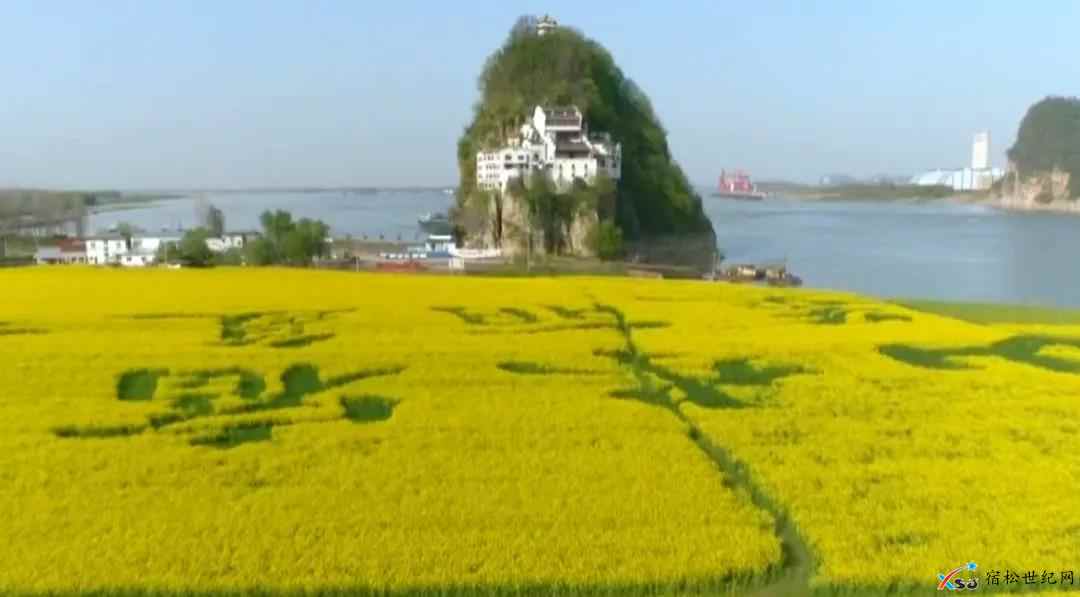 微信图片_20210325075243.jpg