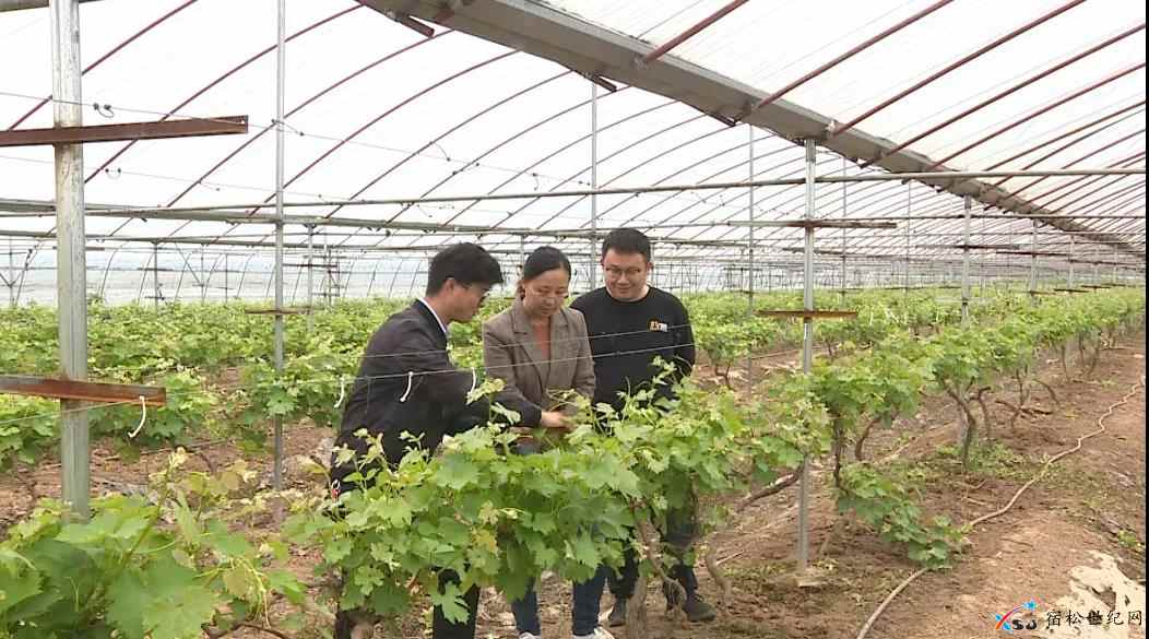 微信图片_20210413144958.jpg