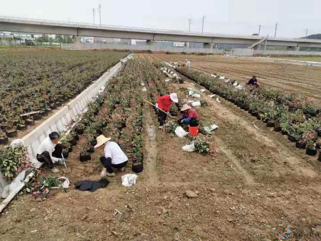 微信图片_20210513082716.jpg
