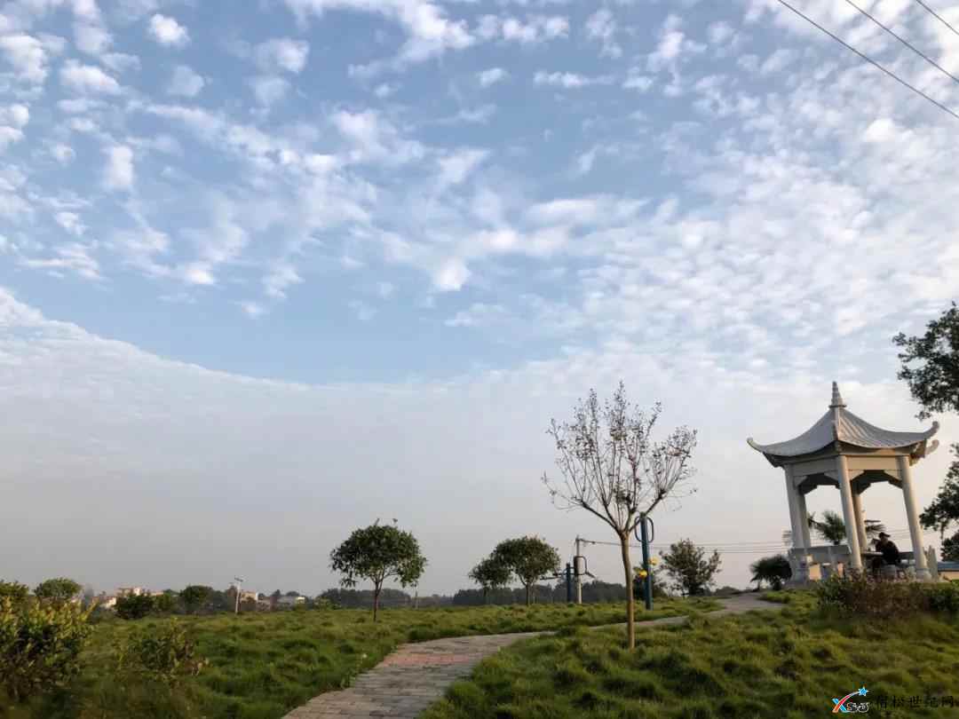 微信图片_20210513082711.jpg