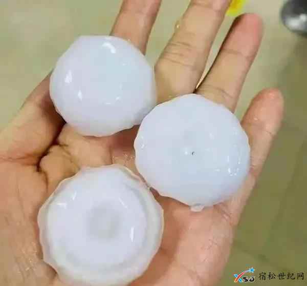 微信图片_20210515155320.jpg