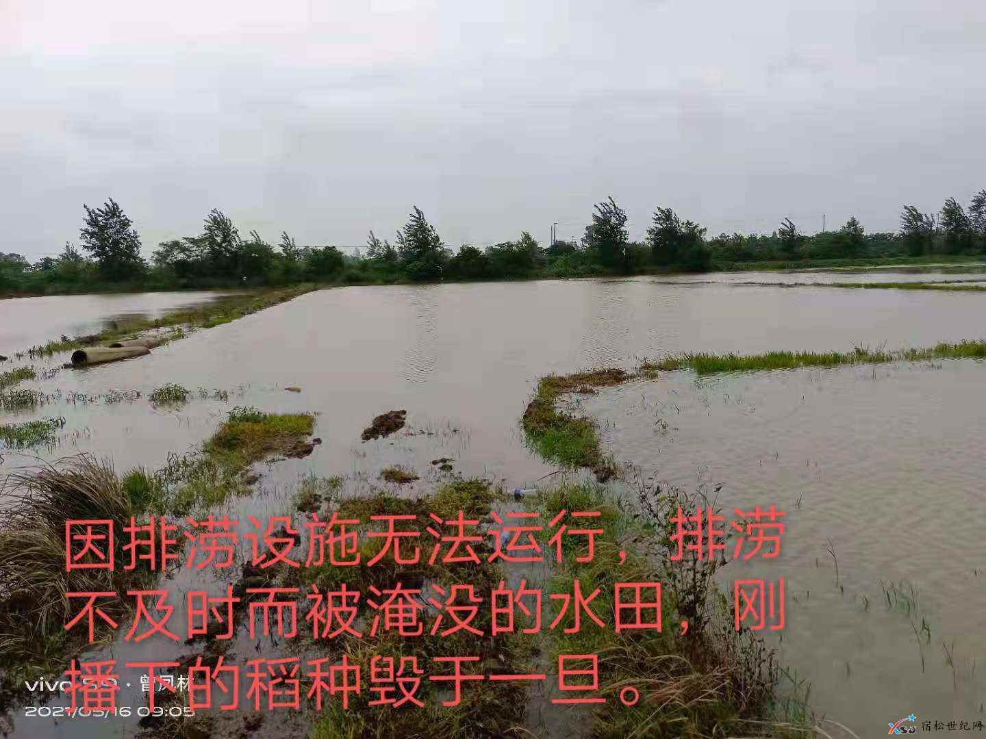 微信图片_20210517084418.jpg