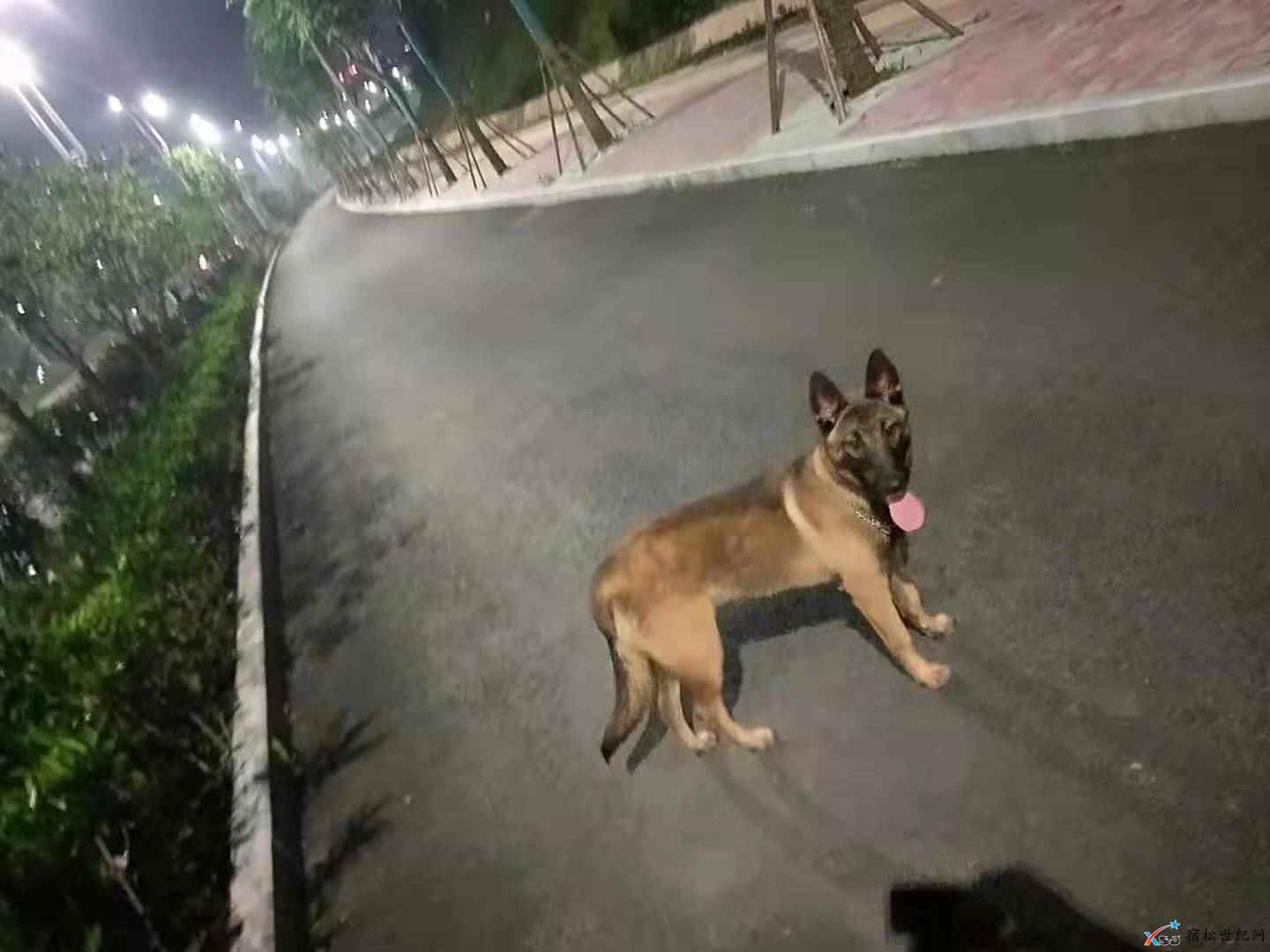 微信图片_20210604160850.jpg