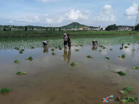 微信图片_20210622082245.png