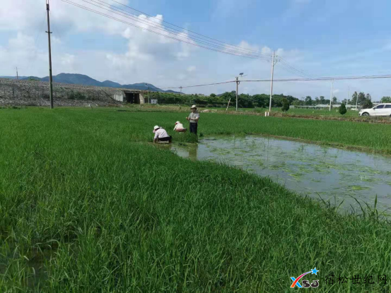 微信图片_20210622082253.png