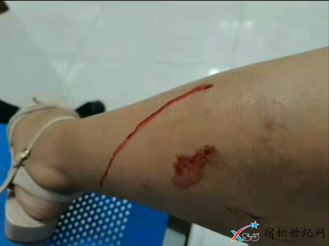 QQ截图20210712082924.png