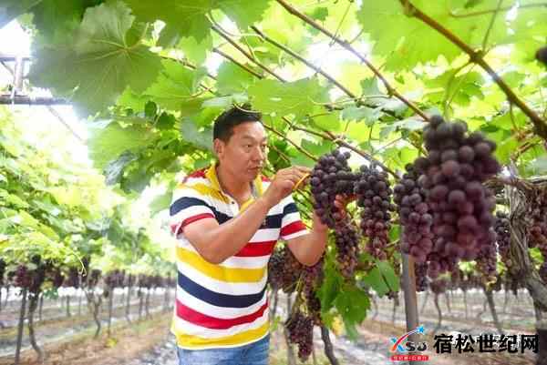 微信图片_20210720153437.jpg