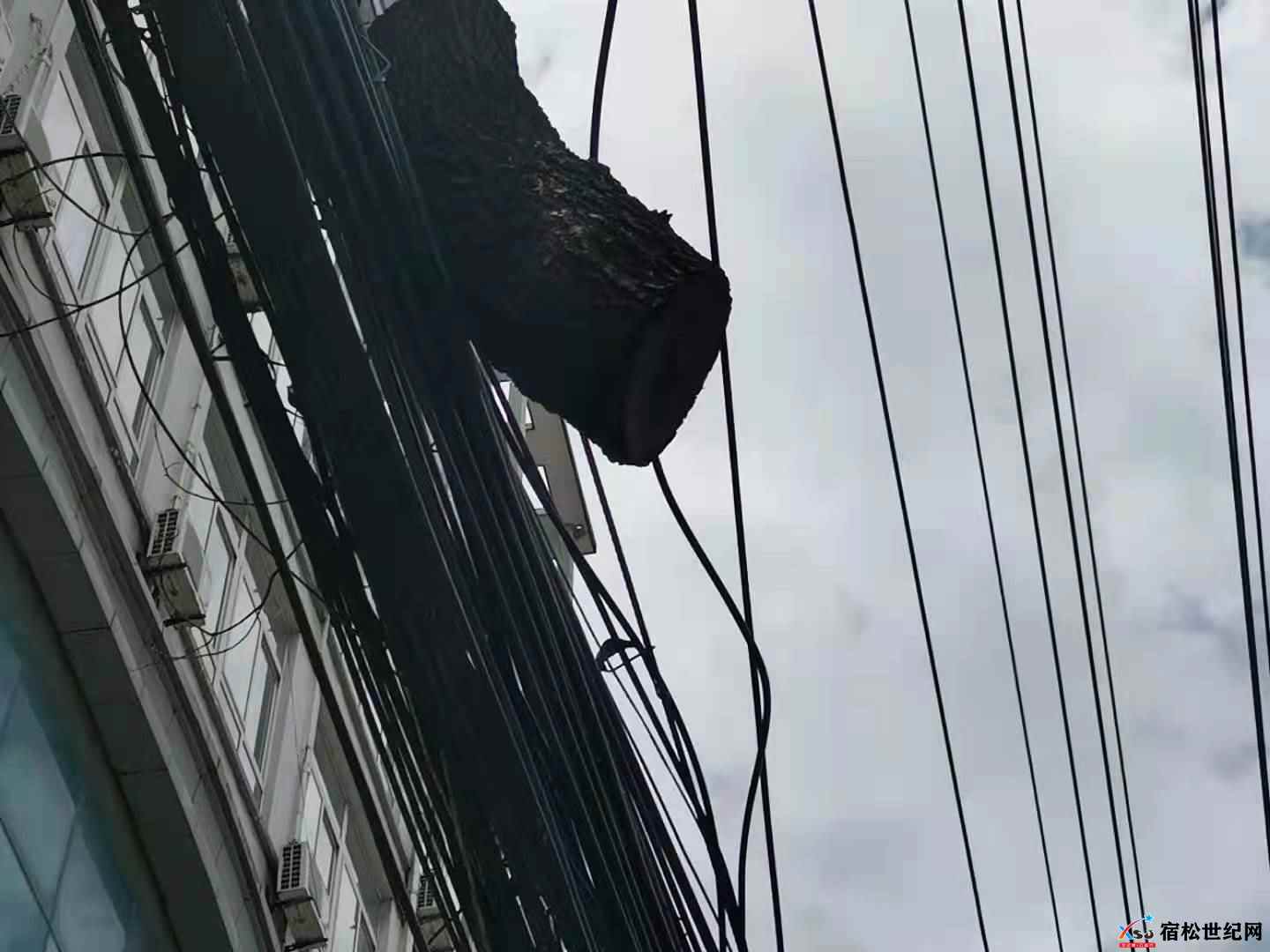 微信图片_20210726124707.jpg