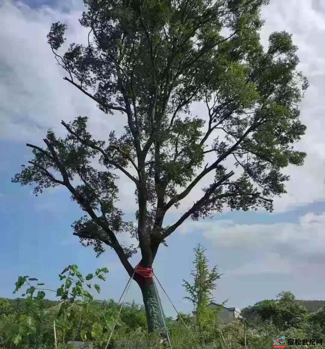 微信图片_20210811083544.jpg