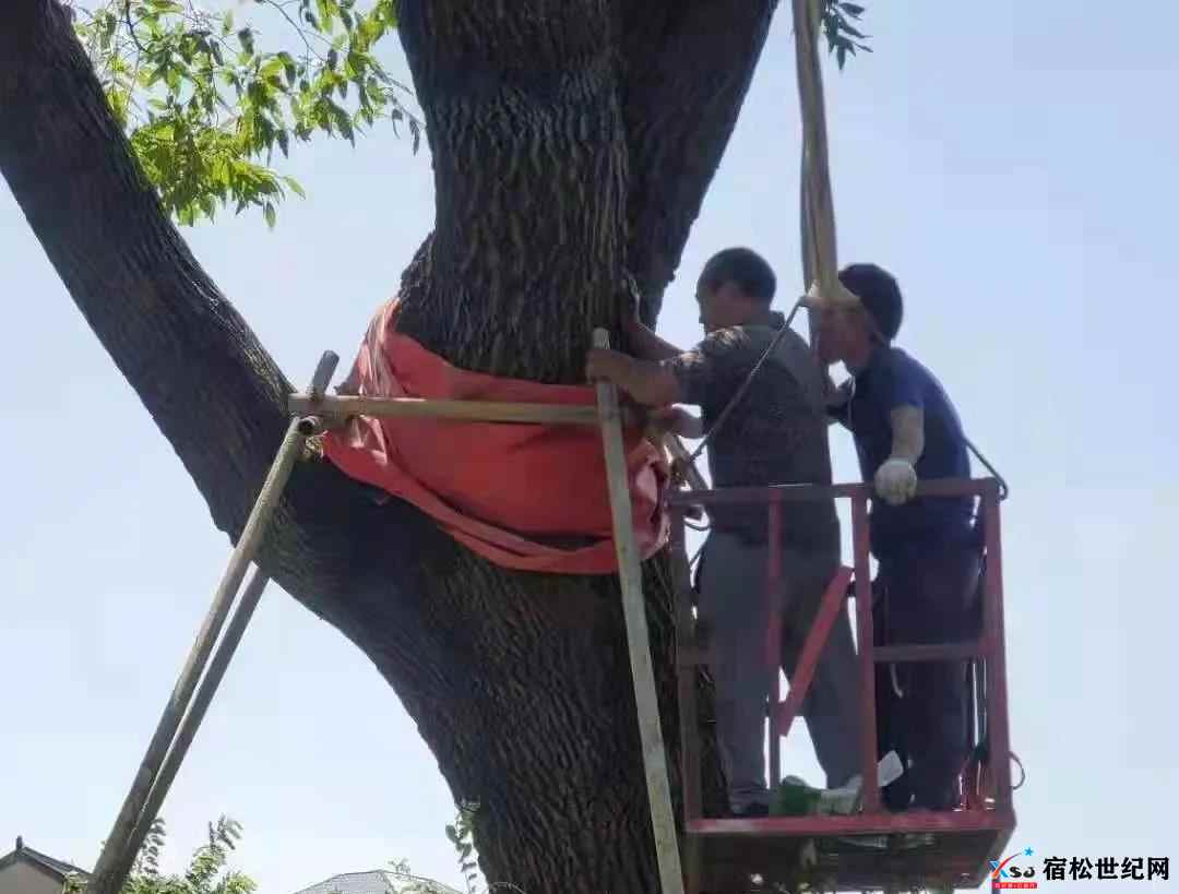 微信图片_20210811083535.jpg