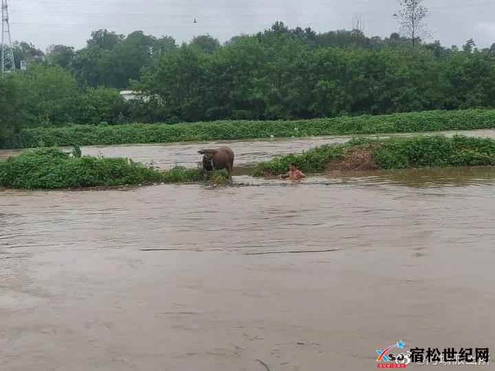 微信图片_20210813153311.jpg