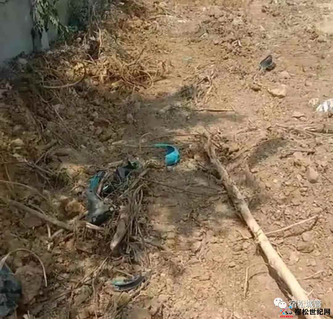 微信图片_20210815090459.jpg