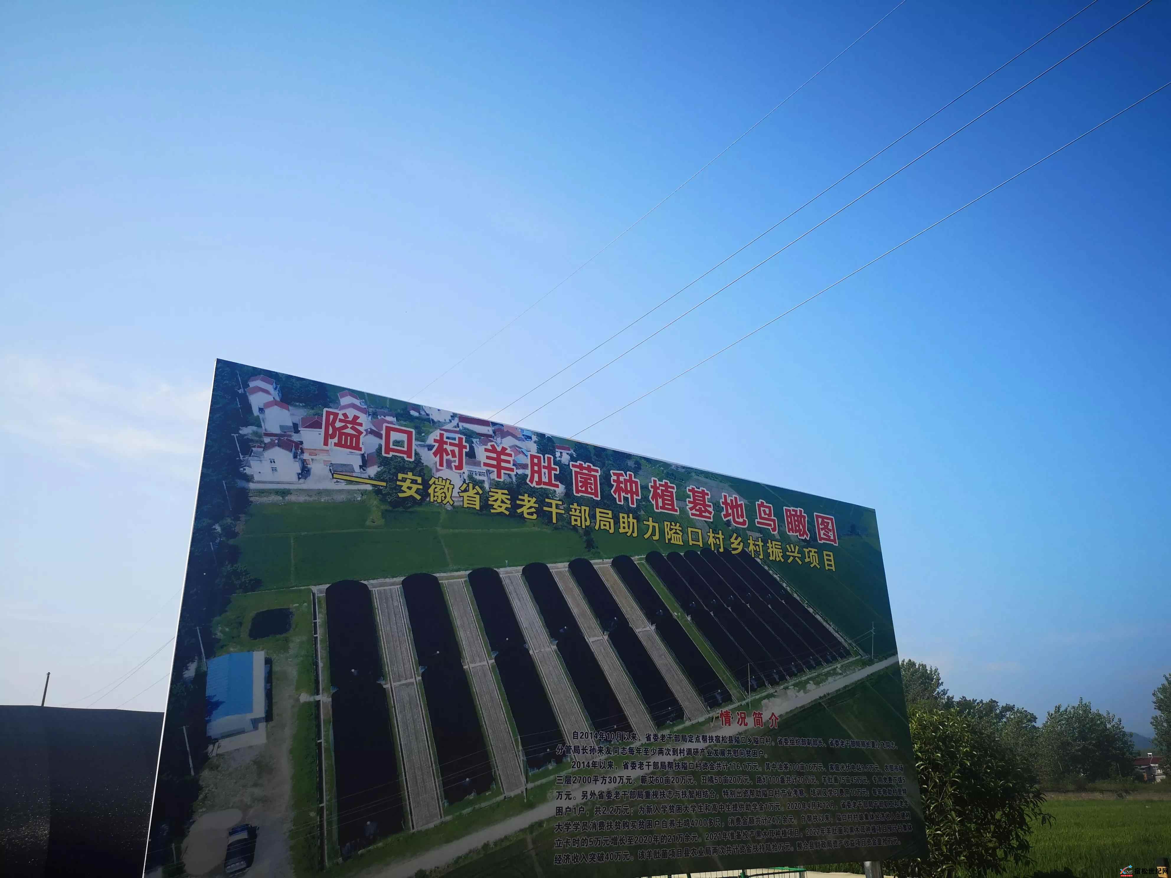 微信图片_20210820012518.jpg