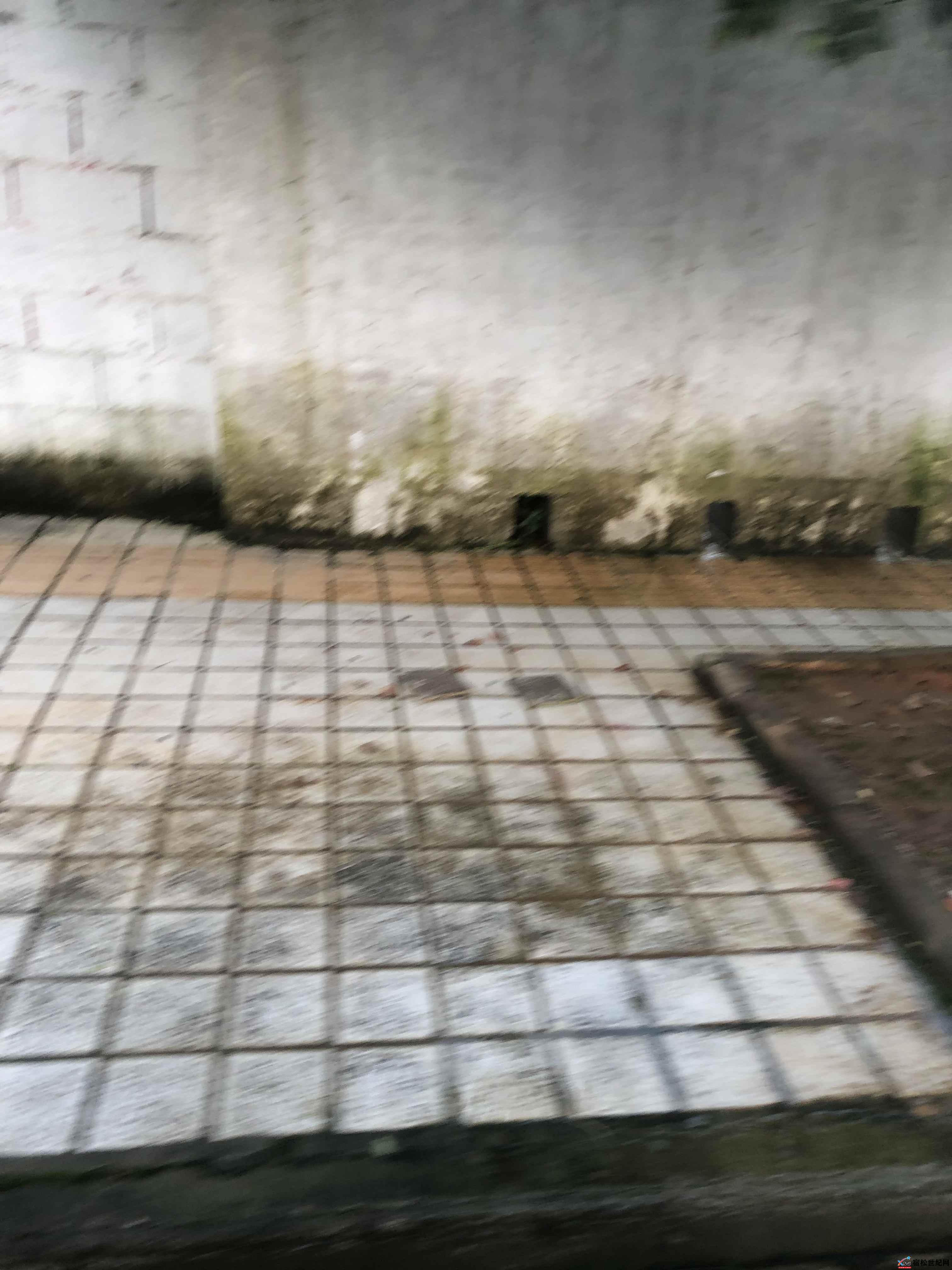 微信图片_20210909100133.jpg