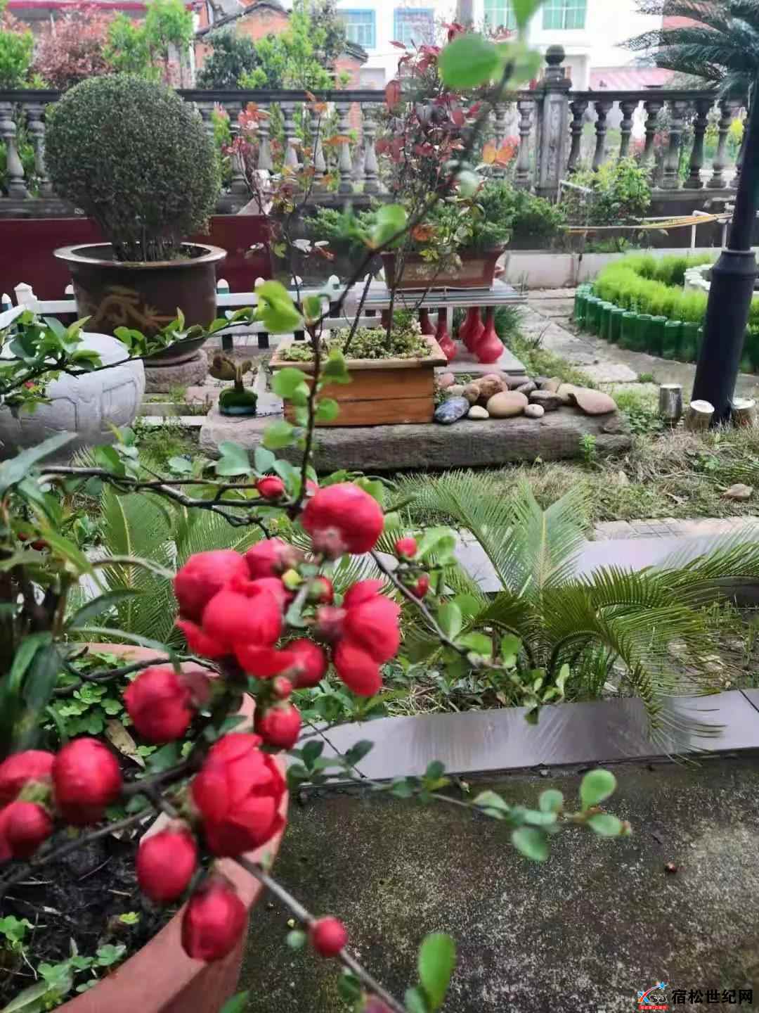 微信图片_20210925084104.jpg
