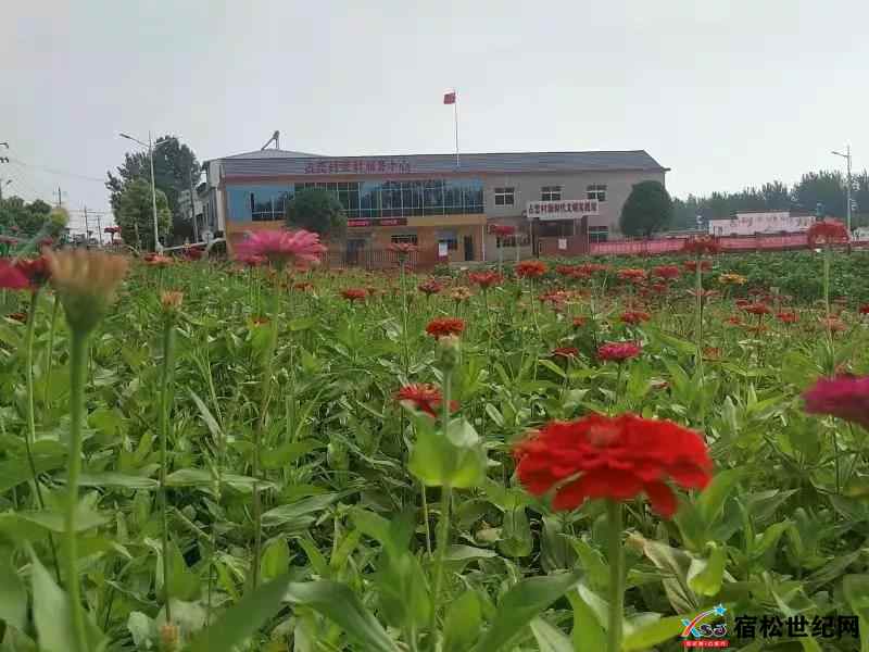 微信图片_20210925084050.jpg