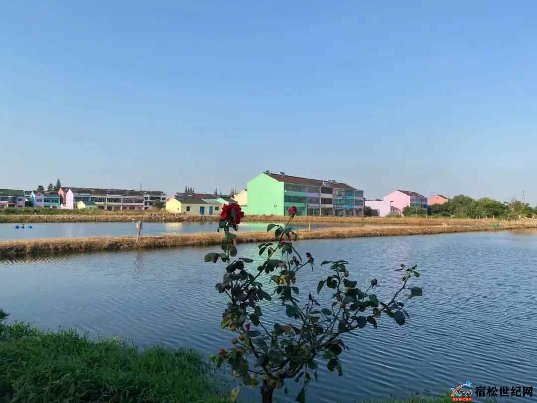 微信图片_20211012153341.jpg