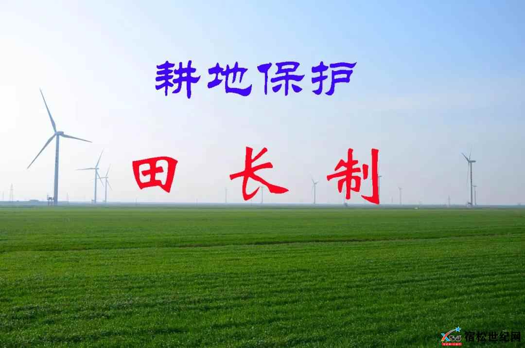微信图片_20211028180138.jpg