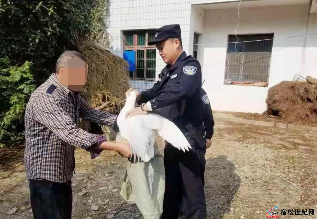 微信图片_20211107154430.jpg