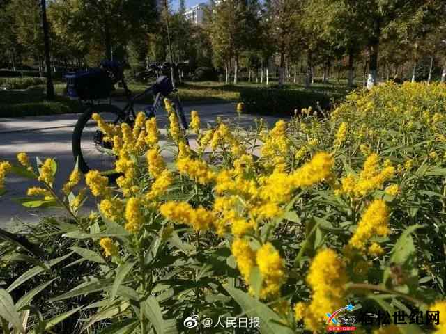 微信图片_20211113153840.jpg