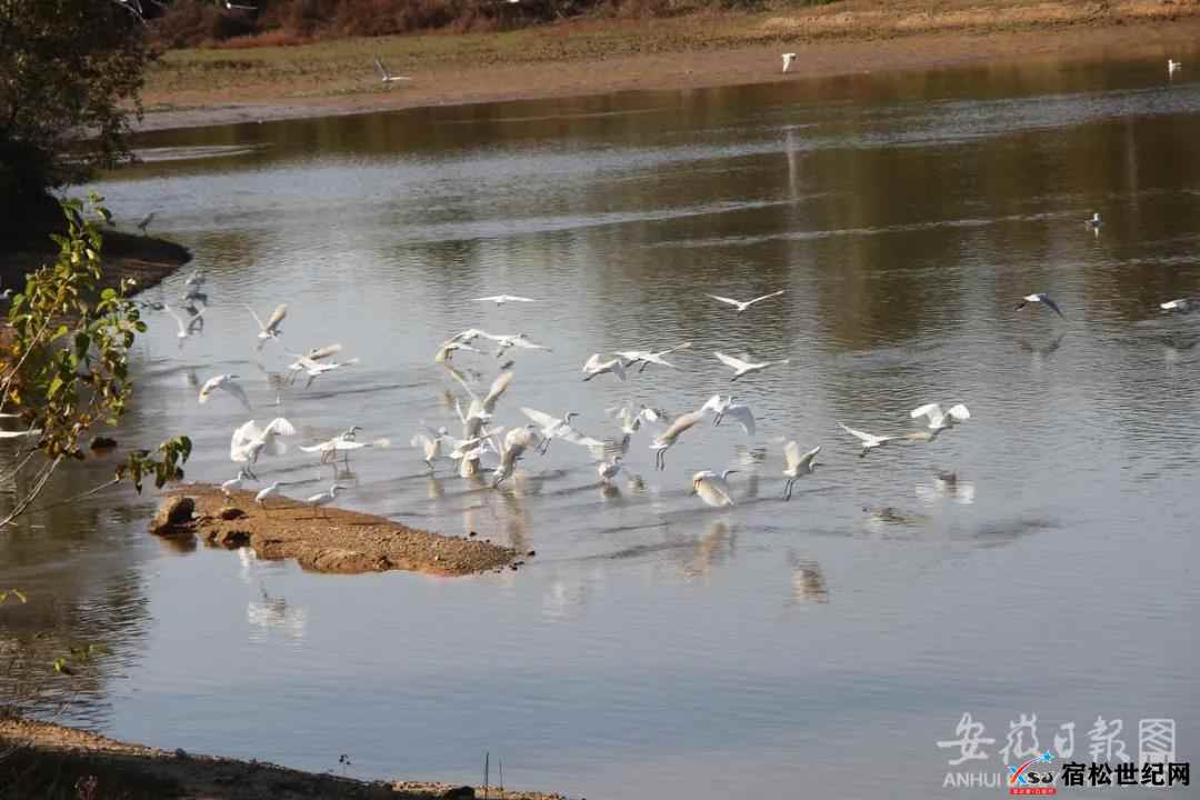 微信图片_20211115190412.jpg