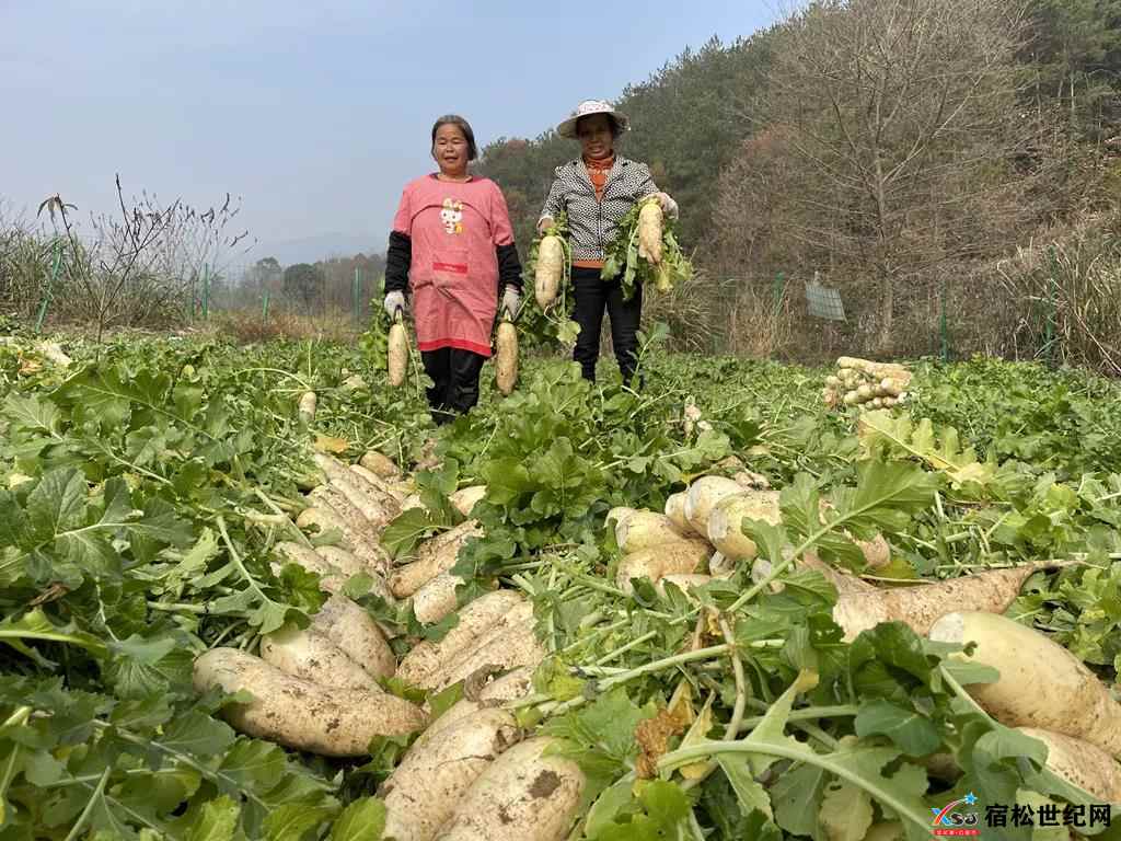 微信图片_20211208174218.jpg