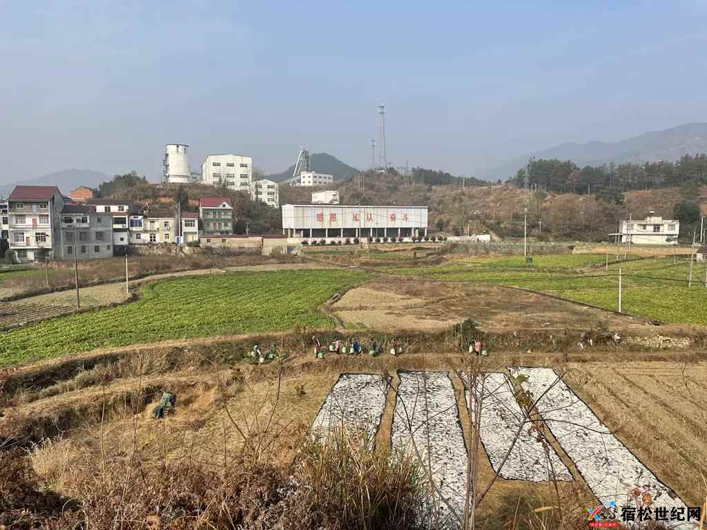 微信图片_20211208174228.jpg