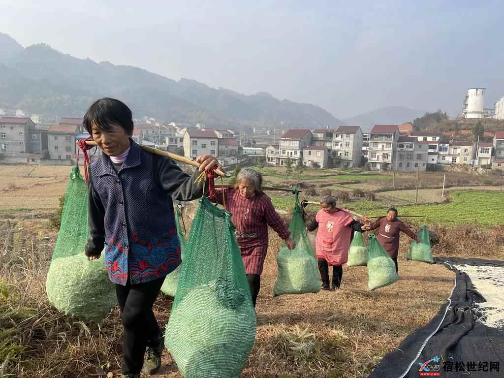 微信图片_20211208174226.jpg