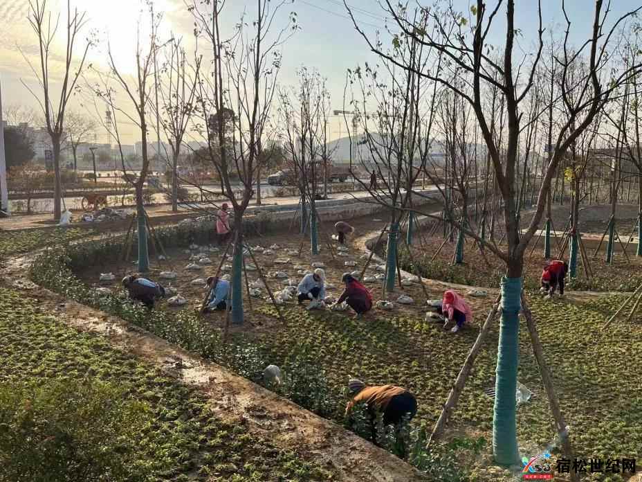 微信图片_20211221082518.jpg
