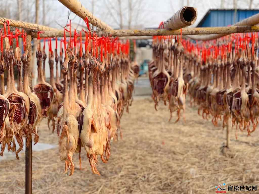 微信图片_20220117165019.jpg