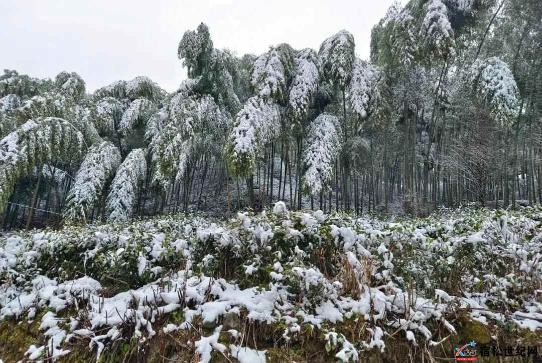 微信图片_20220218164244.jpg