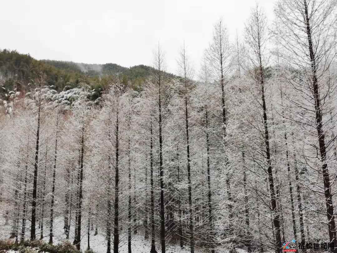 微信图片_20220218164222.jpg