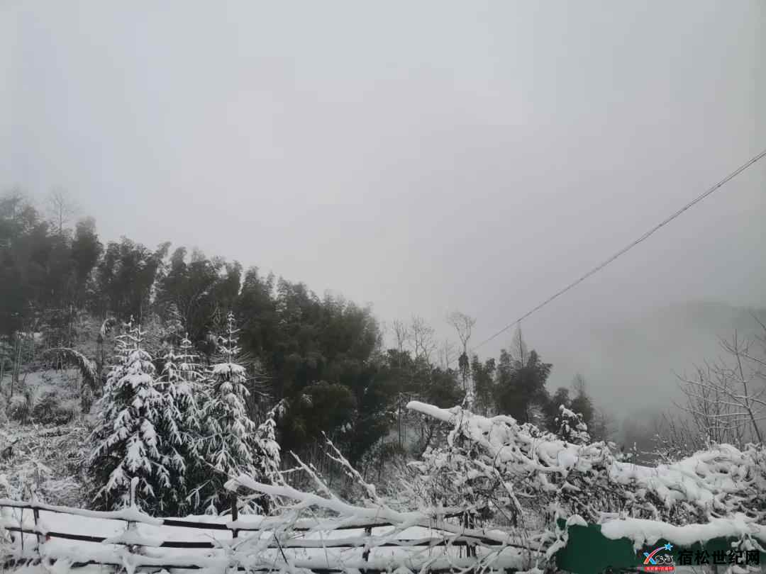 微信图片_20220218164235.jpg
