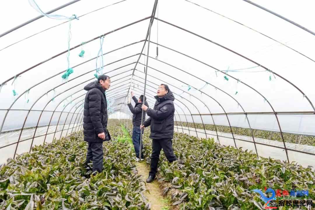 微信图片_20220221174356.jpg