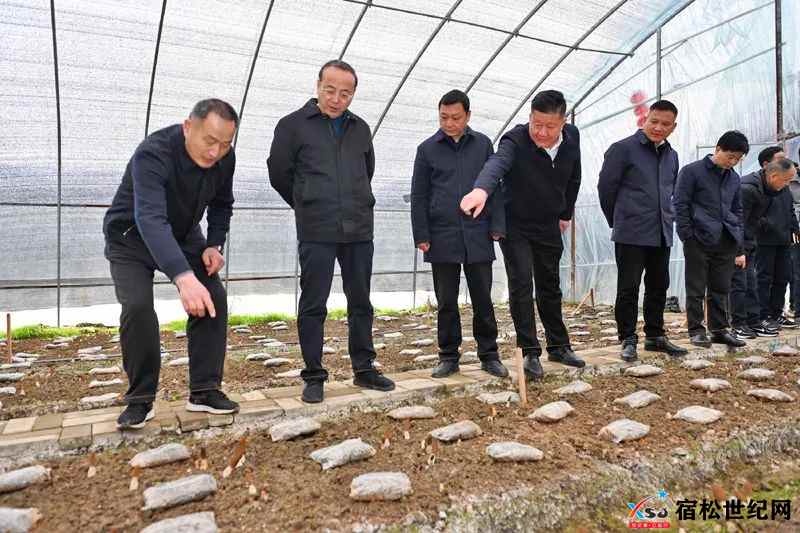 微信图片_20220225101121.jpg
