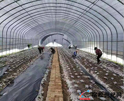 微信图片_20220301081114.png
