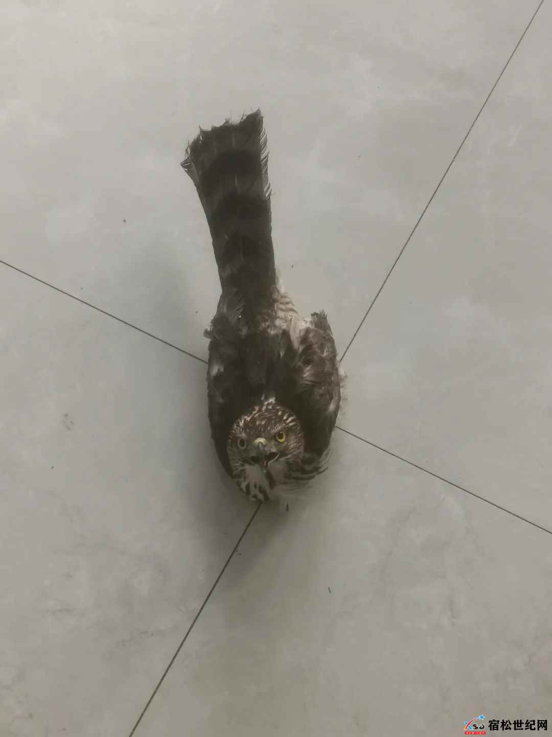 微信图片_20220304092531.jpg